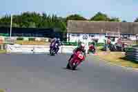 Vintage-motorcycle-club;eventdigitalimages;mallory-park;mallory-park-trackday-photographs;no-limits-trackdays;peter-wileman-photography;trackday-digital-images;trackday-photos;vmcc-festival-1000-bikes-photographs